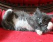 thumb-image-2024-02-29T14:05:09.341Z