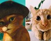 thumb-image-2024-02-29T14:05:09.744Z