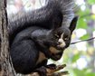 thumb-image-2024-02-29T14:05:10.128Z