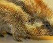 thumb-image-2024-02-29T14:05:10.303Z