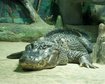 thumb-image-2024-02-29T14:05:10.336Z