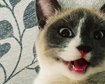 thumb-image-2024-02-29T14:05:11.159Z