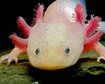 thumb-image-2024-02-29T14:05:12.165Z