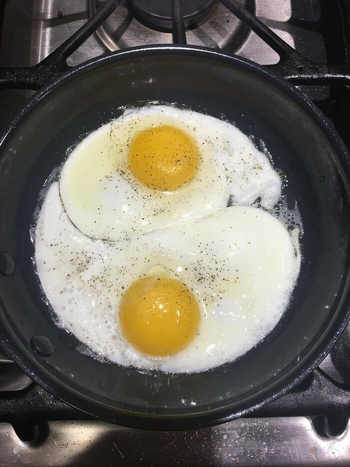 Até os ovos conseguiram ficar em uma forma perfeita