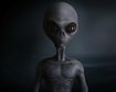 thumb-image-2024-02-29T14:05:10.758Z