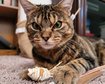 thumb-image-2024-02-29T14:05:11.833Z