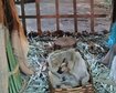 thumb-image-2024-02-29T14:05:11.807Z