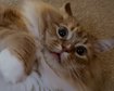 thumb-image-2024-02-29T14:05:12.969Z