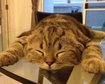 thumb-image-2024-02-29T14:05:13.038Z