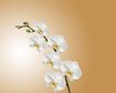 thumb-image-2024-02-29T14:05:12.715Z