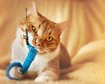 thumb-image-2024-02-29T14:05:13.183Z