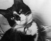 thumb-image-2024-02-29T14:05:12.782Z