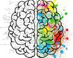 thumb-image-2024-02-29T14:05:12.988Z