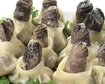 thumb-image-2024-02-29T14:05:13.225Z
