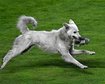 thumb-image-2024-02-29T14:05:13.353Z