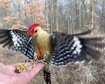 thumb-image-2024-02-29T14:05:13.755Z