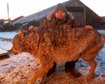 thumb-image-2024-02-29T14:05:14.463Z