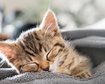 thumb-image-2024-02-29T14:05:14.751Z