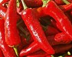 thumb-image-2024-02-29T14:05:14.647Z
