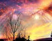 thumb-image-2024-02-29T14:05:15.332Z