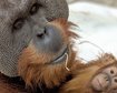 thumb-image-2024-02-29T14:05:14.760Z