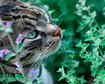 thumb-image-2024-02-29T14:05:16.331Z