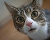 thumb-image-2024-02-29T14:05:15.867Z