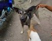 thumb-image-2024-02-29T14:05:16.307Z