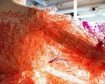 thumb-image-2024-02-29T14:05:16.589Z