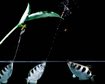 thumb-image-2024-02-29T14:05:16.677Z