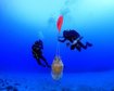 thumb-image-2024-02-29T14:05:16.563Z