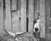 thumb-image-2024-02-29T14:05:17.170Z