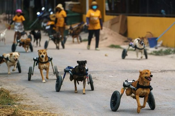 (Fonte: Reuters/Athit Perawongmetha/Reprodução)