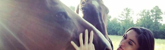 Imagem de Mulher cria santuário para abrigar animais negligenciados no Megacurioso