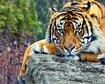 thumb-image-2024-02-29T14:05:19.649Z