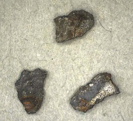 Os primeiros fragmentos encontrados eram de pequeno porte.