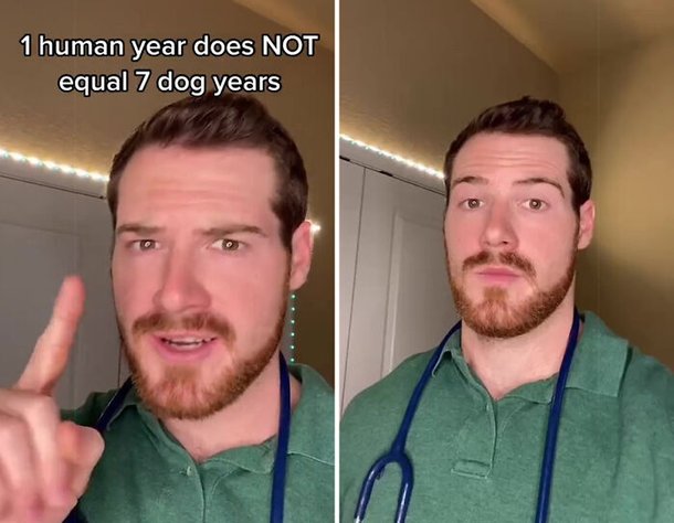 O vídeo viralizou por causa da informação ou por causa do veterinário barbudo? (Fonte: Dr Hunter Finn/TikTok)