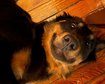 thumb-image-2024-02-29T14:05:21.674Z