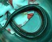 thumb-image-2024-02-29T14:05:20.266Z