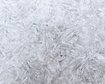 thumb-image-2024-02-29T14:05:20.585Z