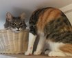 thumb-image-2024-02-29T14:05:21.110Z