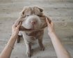 thumb-image-2024-02-29T14:05:21.441Z