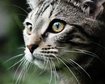 thumb-image-2024-02-29T14:05:22.449Z