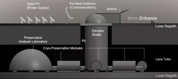 Ilustração mostra como seriam armazenadas as arcas com genes nos poços lunares. (Fonte: All Thats Interesting/Reprodução)