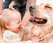 thumb-image-2024-02-29T14:05:22.835Z