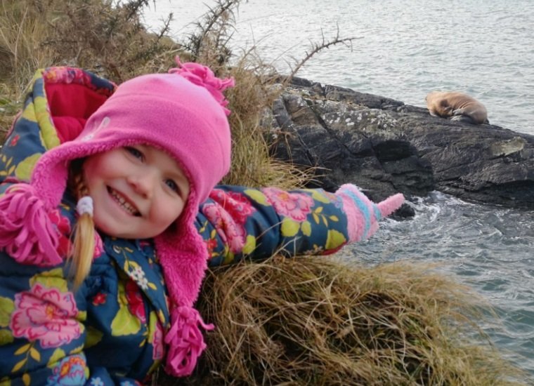 Muireann Houlihan, de 5 anos, foi uma das primeiras a avistar a morsa junto com o pai.