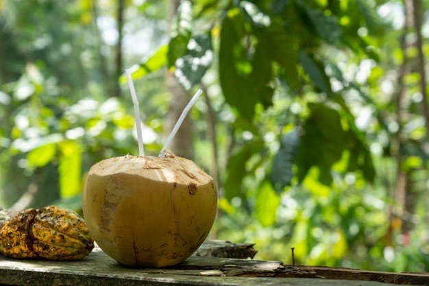 Água de coco in natura