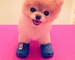 thumb-image-2024-02-29T14:05:23.665Z