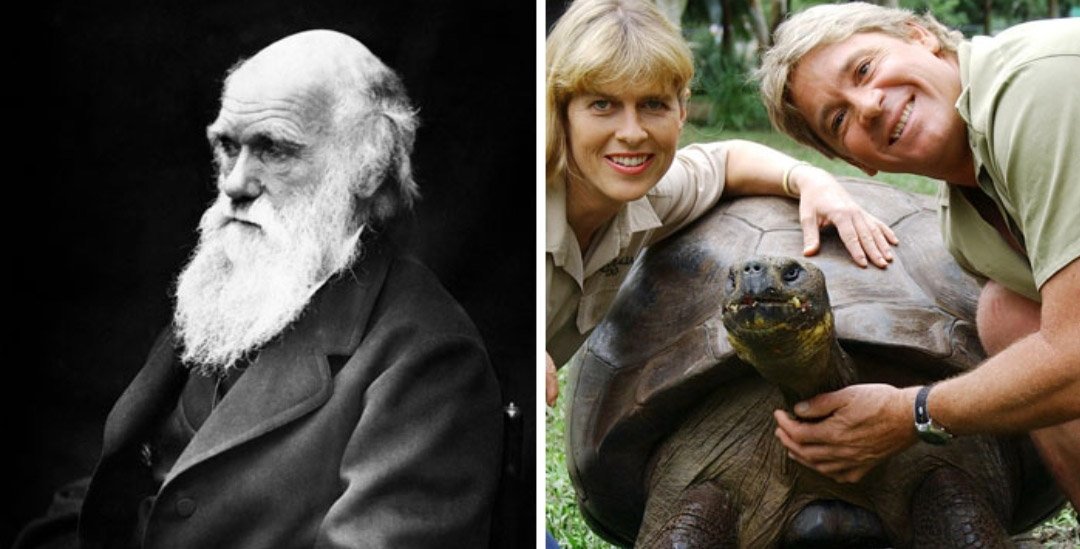 Harriet, a tartaruga que sobreviveu a Darwin (Fonte: u/WeWereWhy/Reddit/Reprodução)