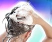 thumb-image-2024-02-29T14:05:24.712Z